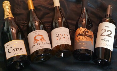 THE COMFORT ZONE FEBRUARY 2026