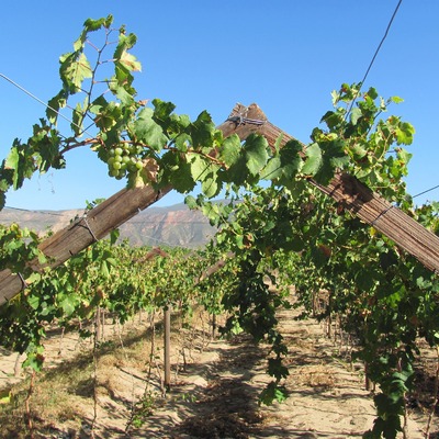 Upper-Langkloof