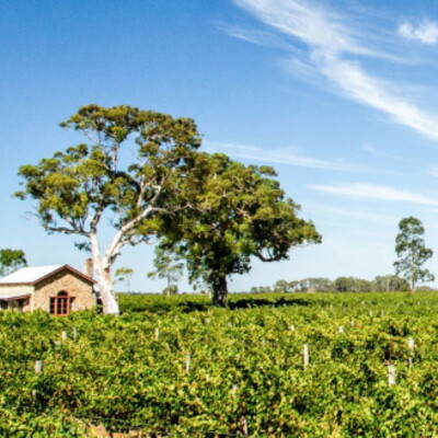 Coonawarra
