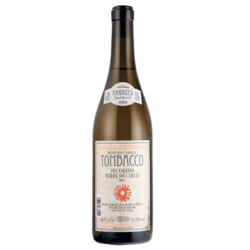 Rinomata Cantina Tombacco Pecorino Terre di Chieti 2024